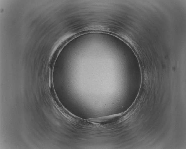 X0000065241123200603031731