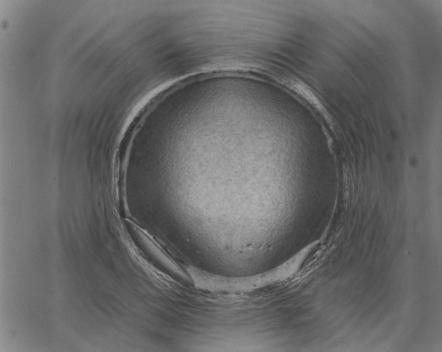 X0000065241124200603031731