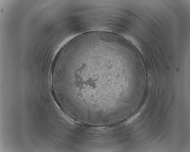 X0000065241125200603031731