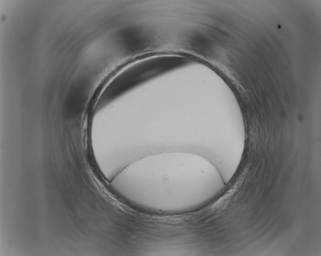 X0000065241126200603031732