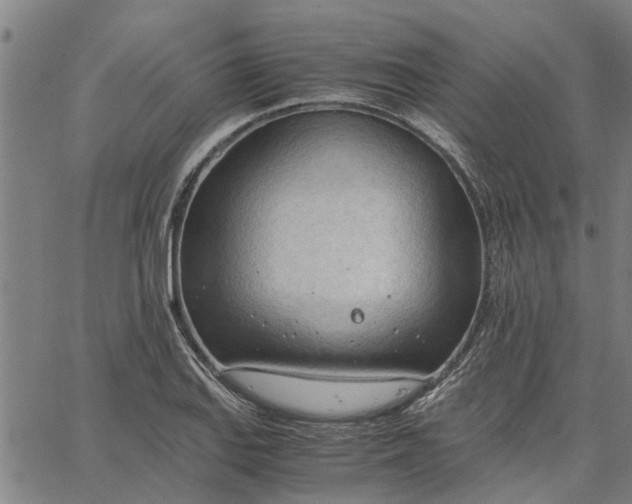 X0000065241127200603031732