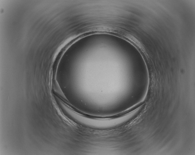 X0000065241128200603031732