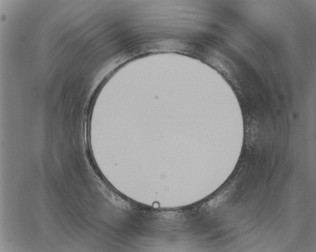 X0000065241130200603031732