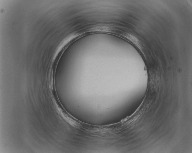 X0000065241131200603031732