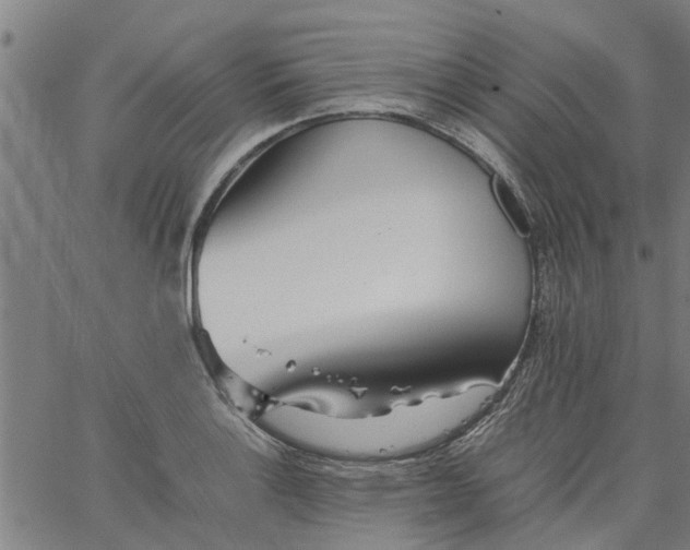 X0000065241132200603031732