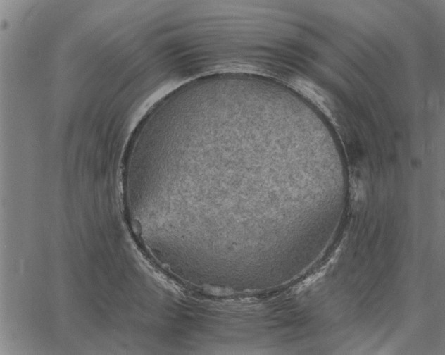 X0000065241133200603031732