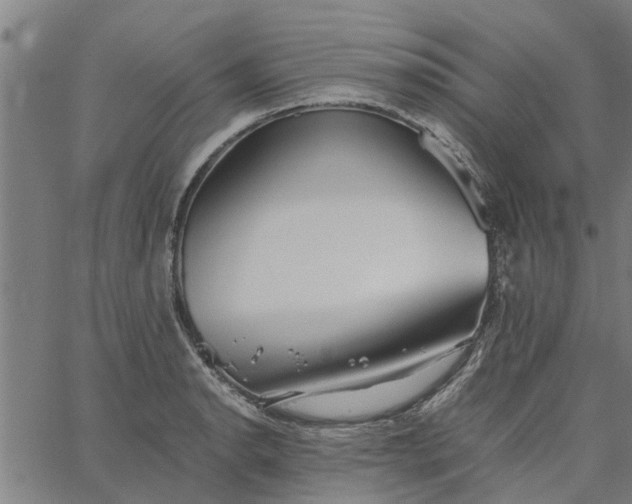 X0000065241134200603031732