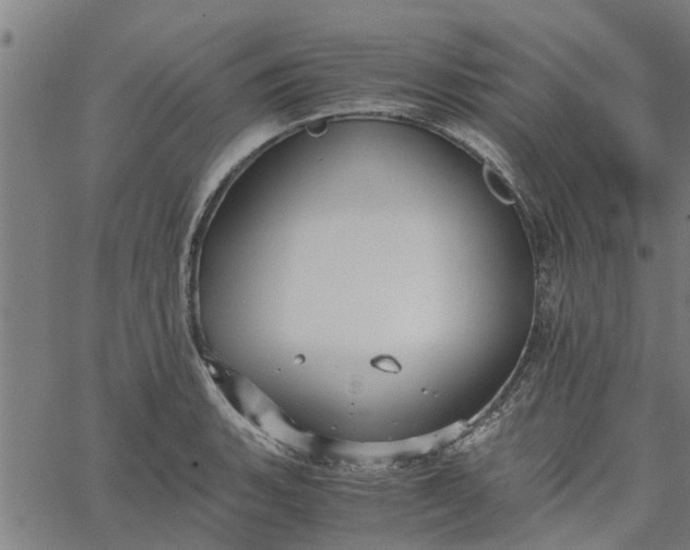 X0000065241135200603031732