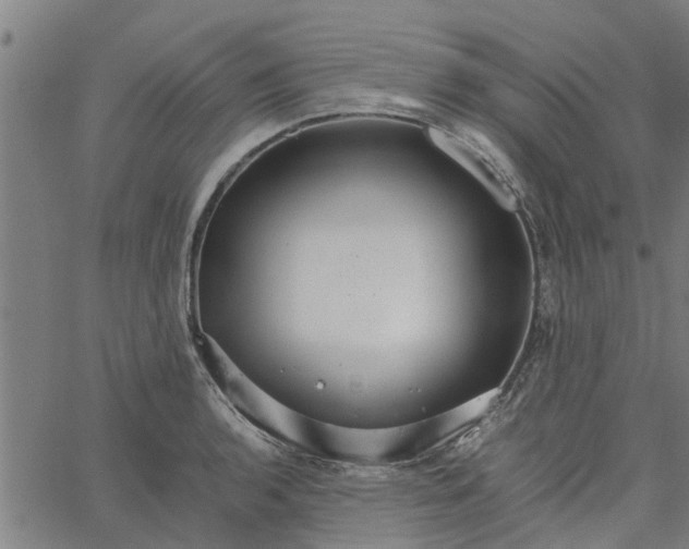 X0000065241136200603031732