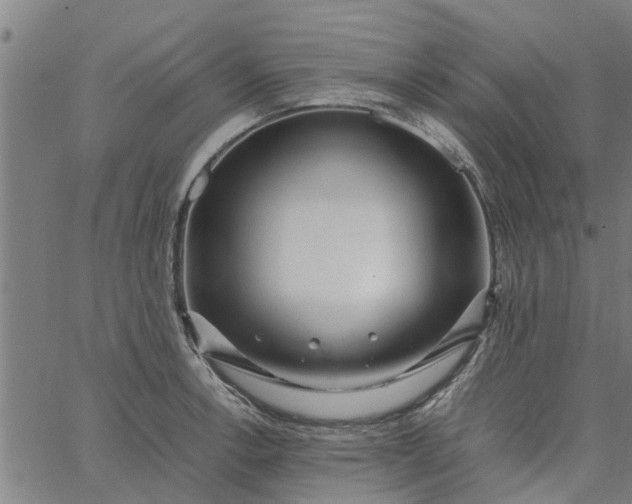 X0000065241138200603031732