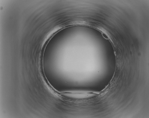 X0000065241139200603031732