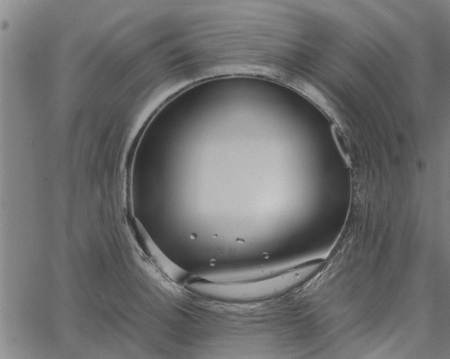 X0000065241140200603031732