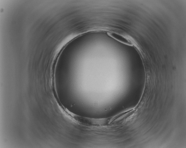 X0000065241143200603031732