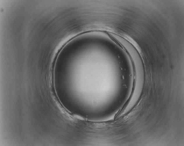 X0000065241144200603031732