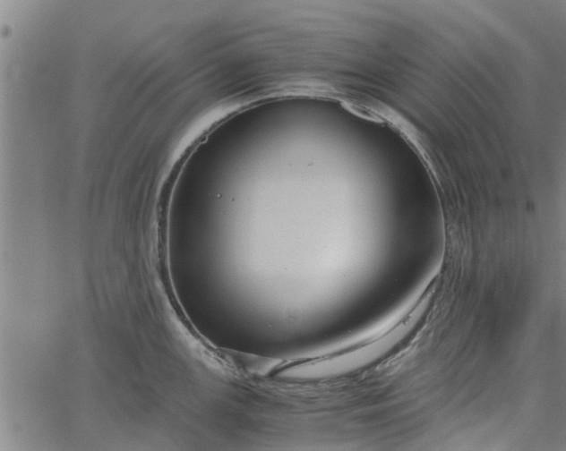 X0000065241147200603031732