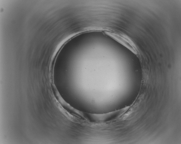 X0000065241148200603031732