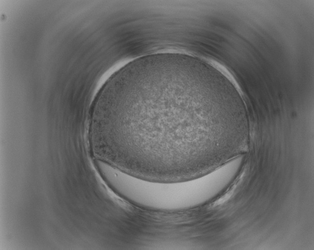 X0000065241149200603031732