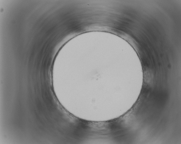 X0000065241150200603031732