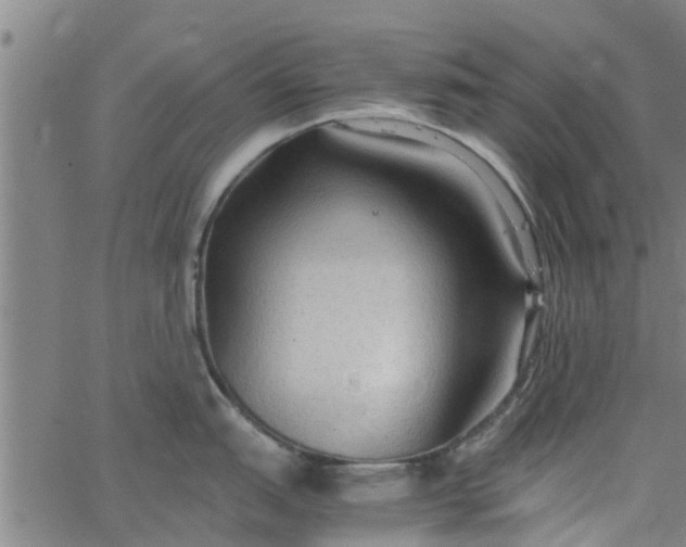 X0000065241151200603031732