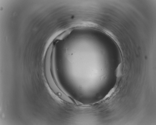 X0000065241152200603031732