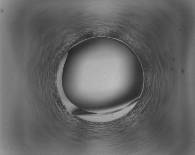 X0000065241153200603031731