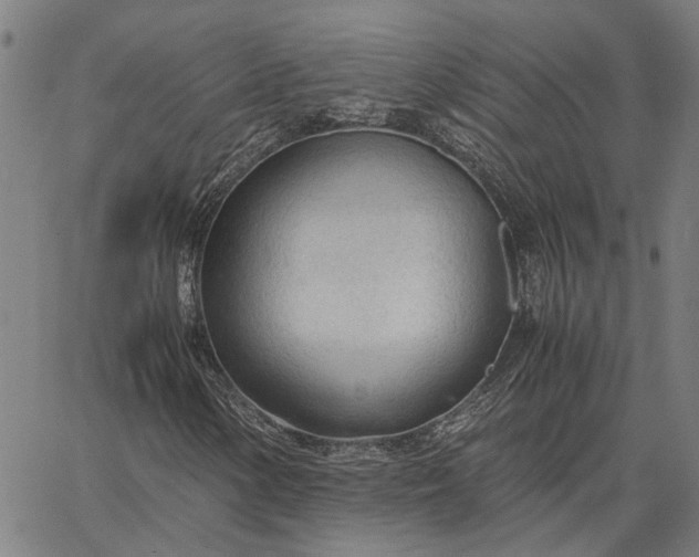 X0000065241154200603031731