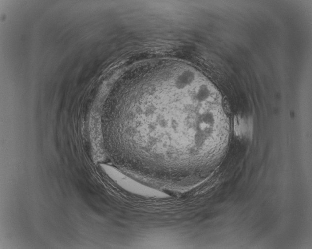 X0000065241155200603031731