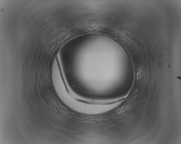 X0000065241156200603031731