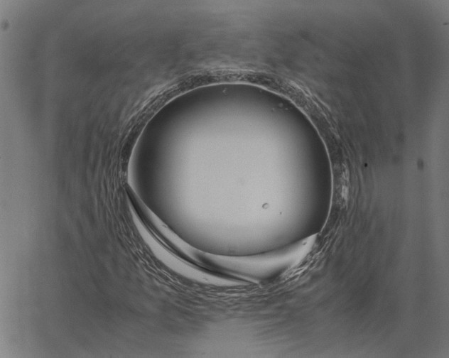 X0000065241157200603031731