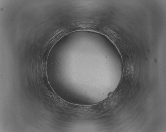 X0000065241158200603031731