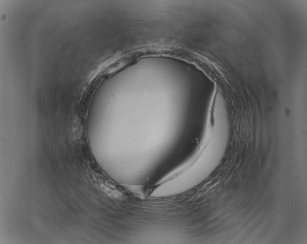 X0000065241160200603031731