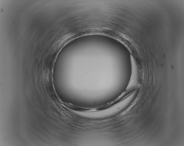 X0000065241161200603031731