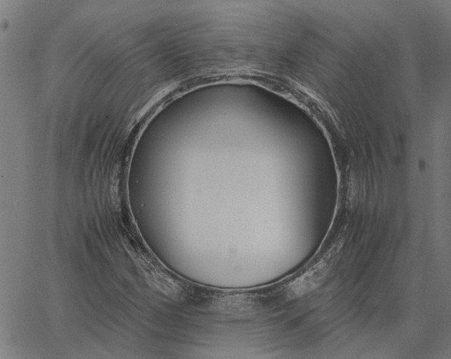 X0000065241162200603031731