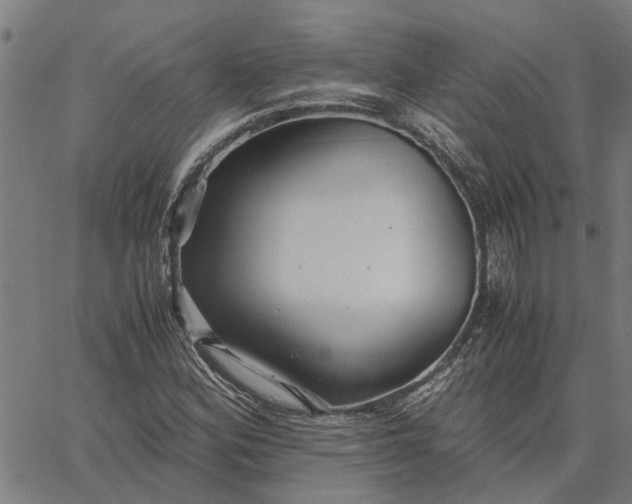 X0000065241164200603031731