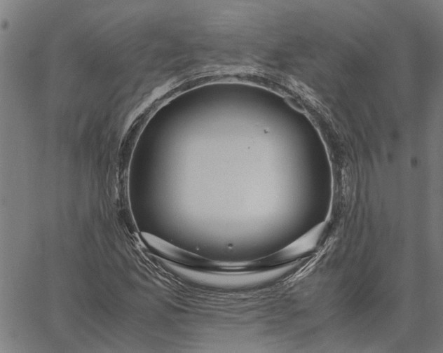 X0000065241165200603031731