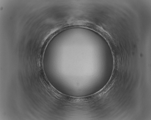 X0000065241166200603031731