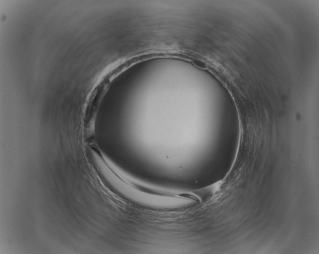 X0000065241168200603031731