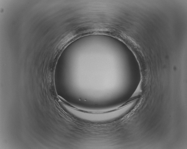 X0000065241169200603031731