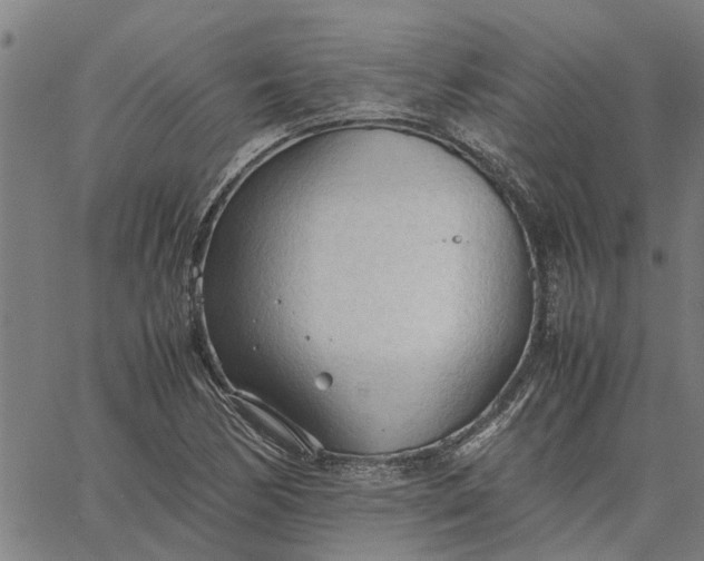 X0000065241170200603031731