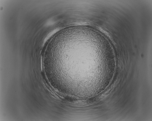 X0000065241171200603031731