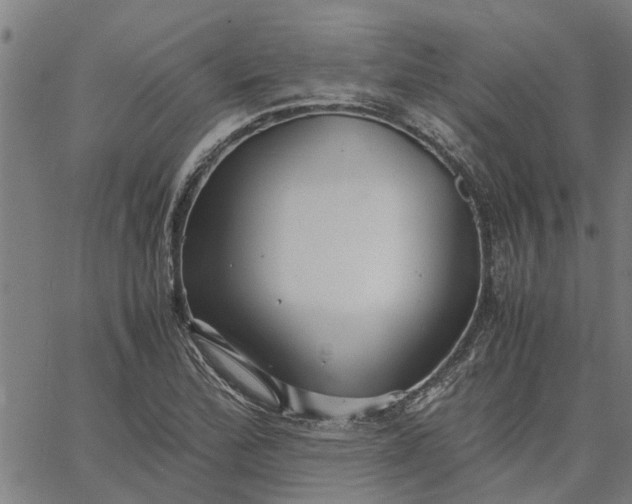 X0000065241172200603031731