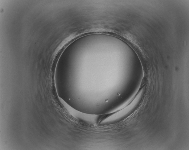 X0000065241173200603031731