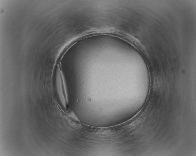 X0000065241174200603031731