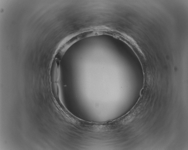 X0000065241176200603031731