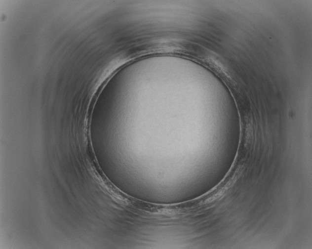 X0000065241178200603031731