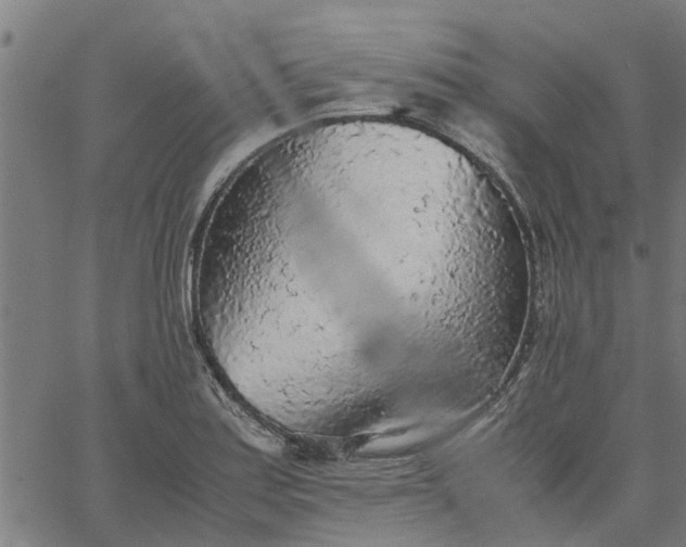 X0000065241179200603031731