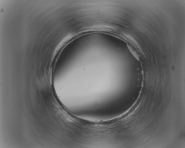 X0000065241180200603031731