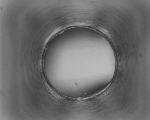 X0000065241181200603031731