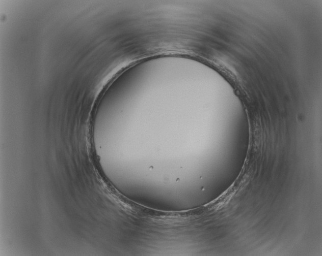 X0000065241182200603031731