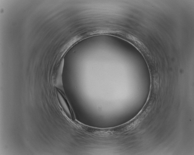 X0000065241185200603031731